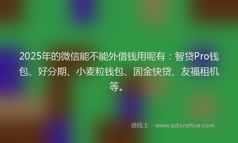 2025年的微信能不能外借钱用呢有：智贷Pro钱包、好分期、小麦粒钱包、固金快贷、友福租机等。