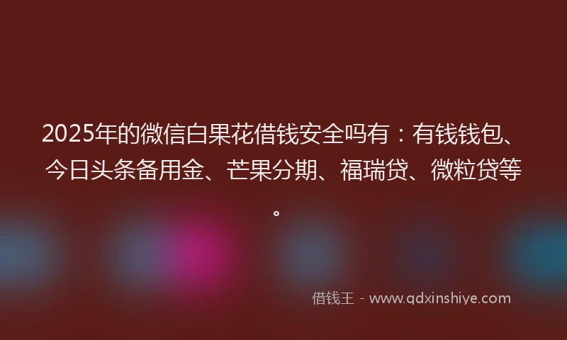 2025年的微信白果花借钱安全吗有：有钱钱包、今日头条备用金、芒果分期、福瑞贷、微粒贷等。
