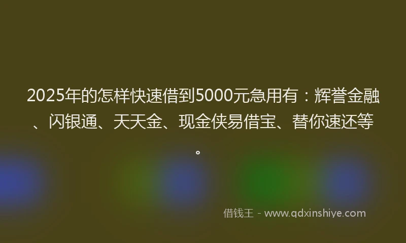 2025年的怎样快速借到5000元急用有：辉誉金融、闪银通、天天金、现金侠易借宝、替你速还等。