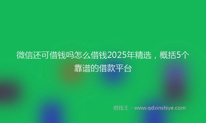 微信还可借钱吗怎么借钱2025年精选，概括5个靠谱的借款平台