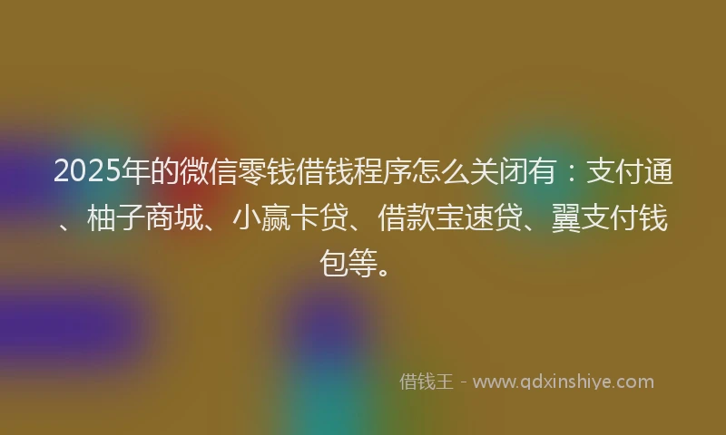 2025年的微信零钱借钱程序怎么关闭有：支付通、柚子商城、小赢卡贷、借款宝速贷、翼支付钱包等。