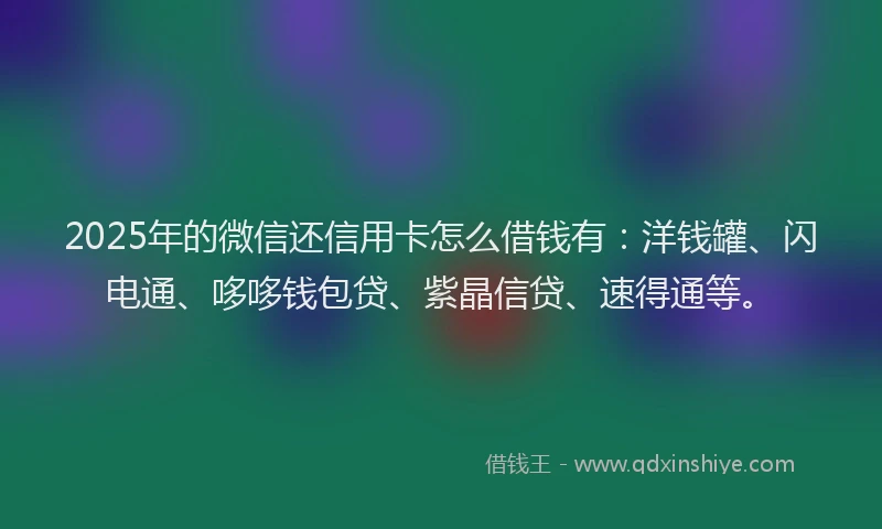 2025年的微信还信用卡怎么借钱有：洋钱罐、闪电通、哆哆钱包贷、紫晶信贷、速得通等。