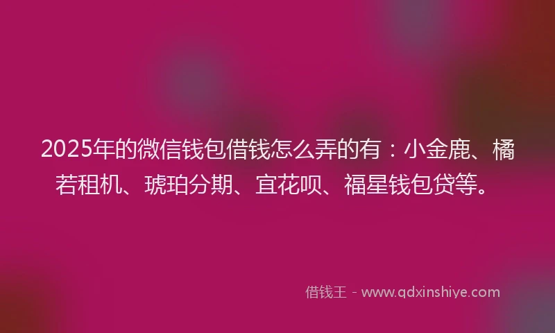 2025年的微信钱包借钱怎么弄的有：小金鹿、橘若租机、琥珀分期、宜花呗、福星钱包贷等。