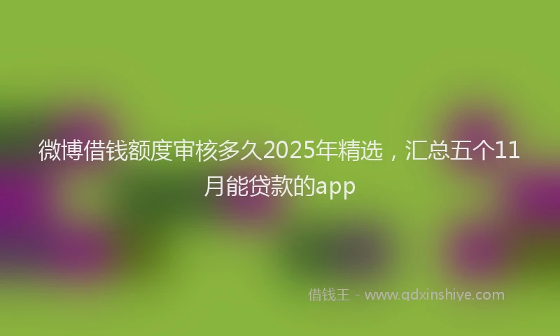 微博借钱额度审核多久2025年精选，汇总五个11月能贷款的app