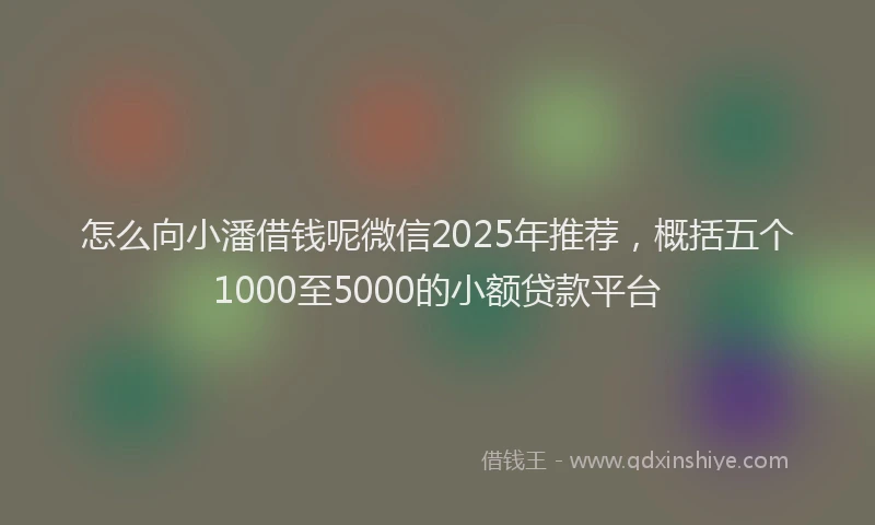怎么向小潘借钱呢微信2025年推荐，概括五个1000至5000的小额贷款平台