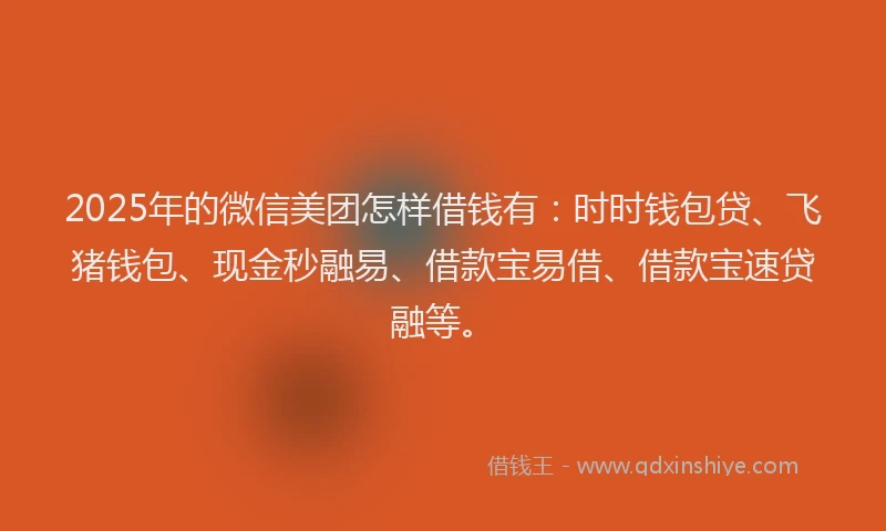 2025年的微信美团怎样借钱有：时时钱包贷、飞猪钱包、现金秒融易、借款宝易借、借款宝速贷融等。