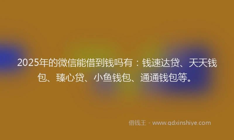 2025年的微信能借到钱吗有：钱速达贷、天天钱包、臻心贷、小鱼钱包、通通钱包等。