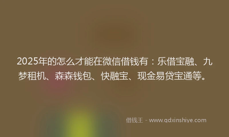 2025年的怎么才能在微信借钱有：乐借宝融、九梦租机、森森钱包、快融宝、现金易贷宝通等。