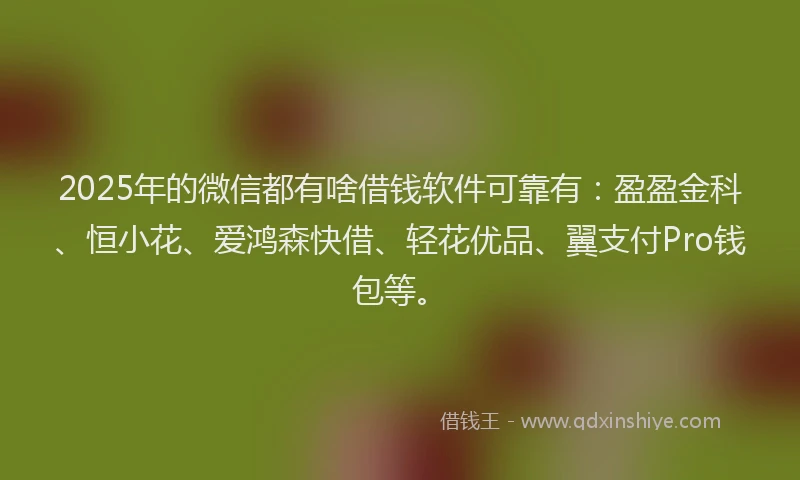 2025年的微信都有啥借钱软件可靠有：盈盈金科、恒小花、爱鸿森快借、轻花优品、翼支付Pro钱包等。