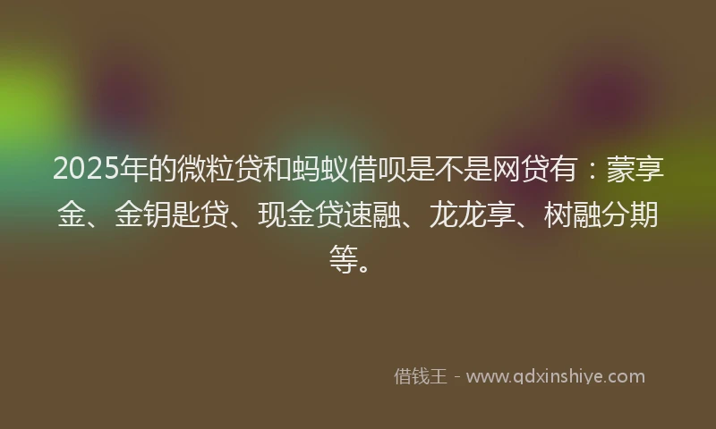 2025年的微粒贷和蚂蚁借呗是不是网贷有：蒙享金、金钥匙贷、现金贷速融、龙龙享、树融分期等。
