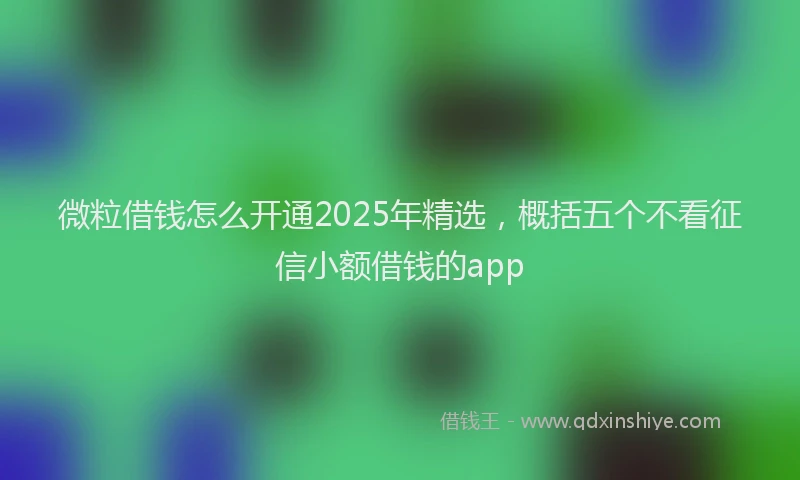 微粒借钱怎么开通2025年精选，概括五个不看征信小额借钱的app