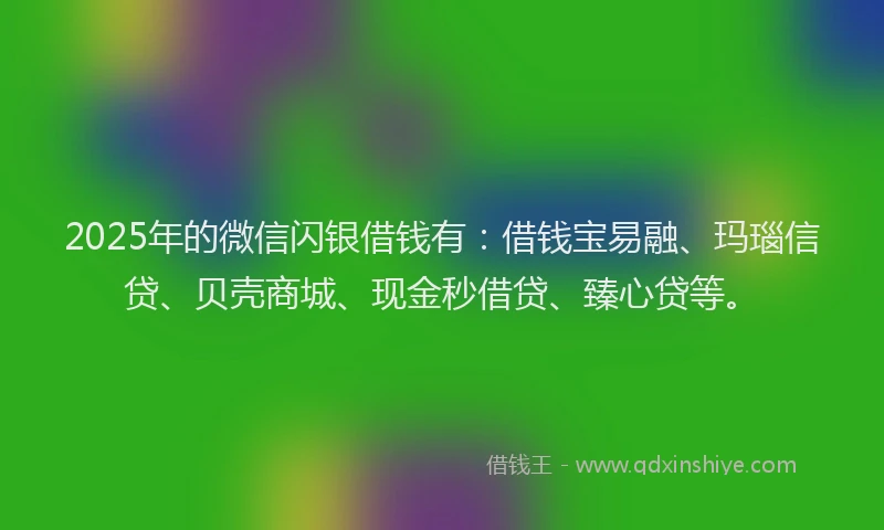 2025年的微信闪银借钱有：借钱宝易融、玛瑙信贷、贝壳商城、现金秒借贷、臻心贷等。