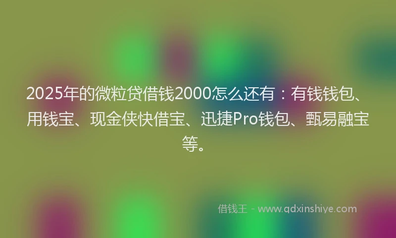 2025年的微粒贷借钱2000怎么还有：有钱钱包、用钱宝、现金侠快借宝、迅捷Pro钱包、甄易融宝等。