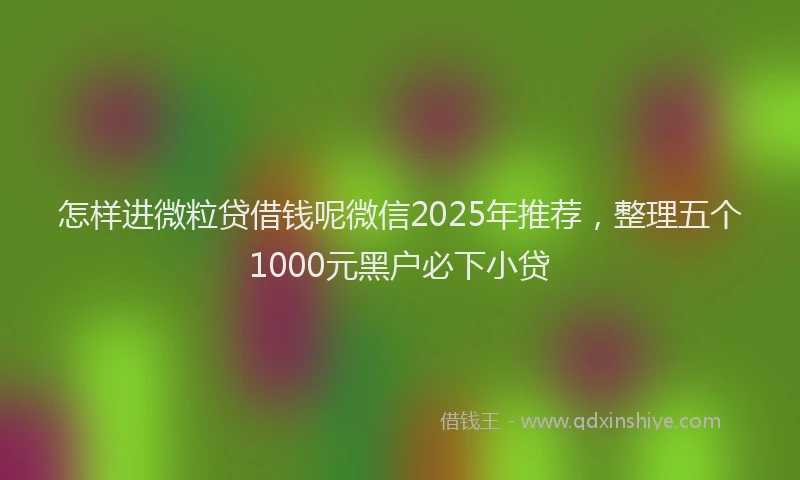 怎样进微粒贷借钱呢微信2025年推荐，整理五个1000元黑户必下小贷