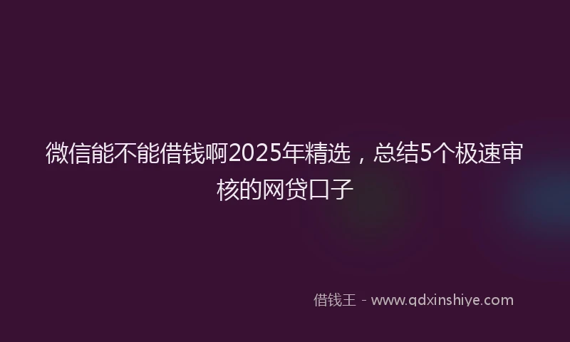 微信能不能借钱啊2025年精选，总结5个极速审核的网贷口子