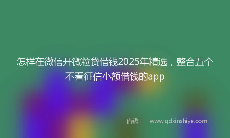 怎样在微信开微粒贷借钱2025年精选，整合五个不看征信小额借钱的app