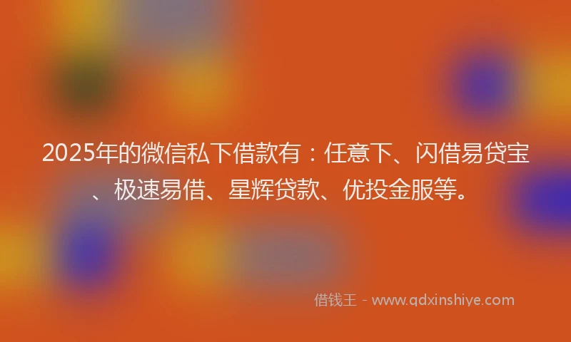2025年的微信私下借款有：任意下、闪借易贷宝、极速易借、星辉贷款、优投金服等。