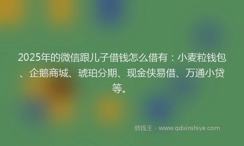 2025年的微信跟儿子借钱怎么借有：小麦粒钱包、企鹅商城、琥珀分期、现金侠易借、万通小贷等。