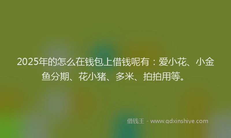 2025年的怎么在钱包上借钱呢有：爱小花、小金鱼分期、花小猪、多米、拍拍用等。
