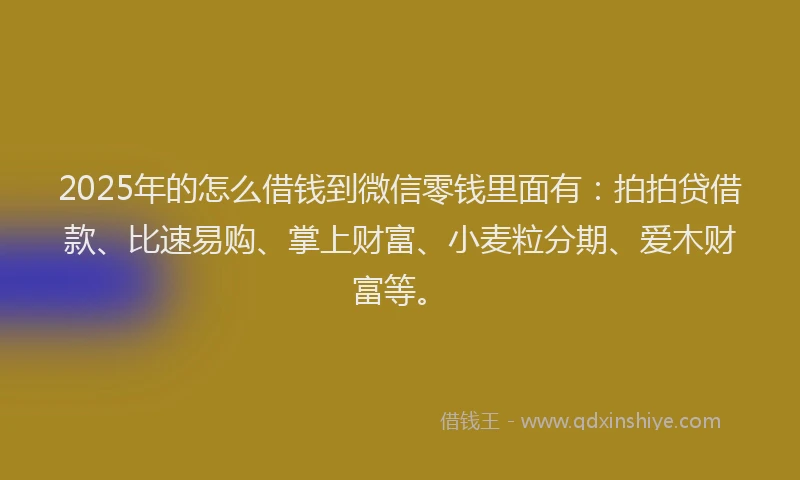2025年的怎么借钱到微信零钱里面有：拍拍贷借款、比速易购、掌上财富、小麦粒分期、爱木财富等。