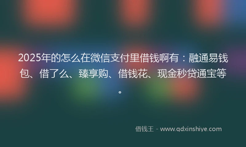 2025年的怎么在微信支付里借钱啊有：融通易钱包、借了么、臻享购、借钱花、现金秒贷通宝等。