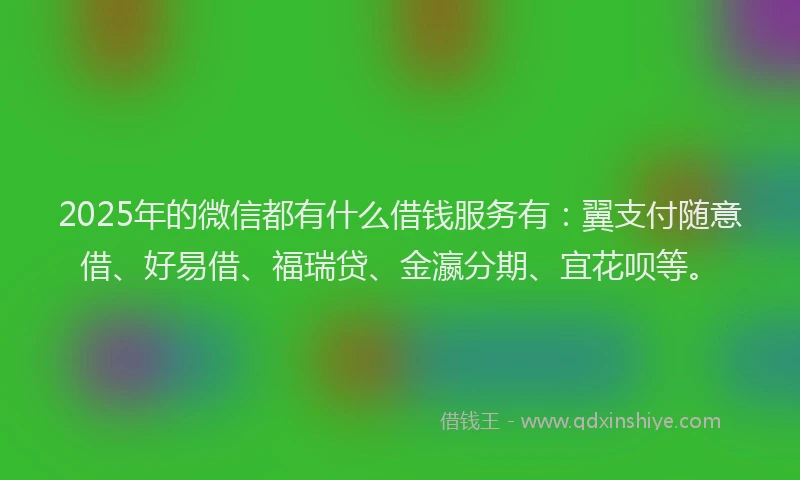 2025年的微信都有什么借钱服务有：翼支付随意借、好易借、福瑞贷、金瀛分期、宜花呗等。