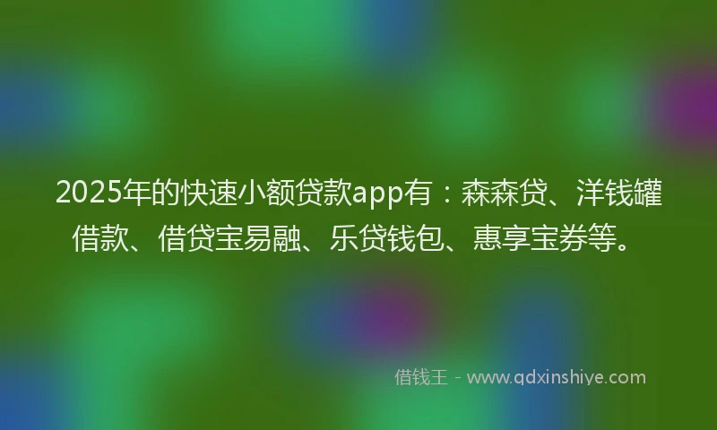2025年的快速小额贷款app有：森森贷、洋钱罐借款、借贷宝易融、乐贷钱包、惠享宝券等。