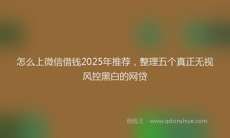 怎么上微信借钱2025年推荐，整理五个真正无视风控黑白的网贷