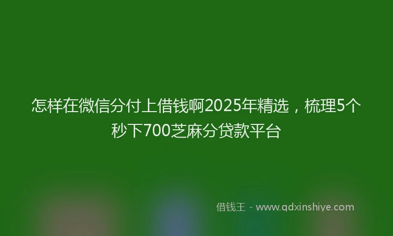 怎样在微信分付上借钱啊2025年精选，梳理5个秒下700芝麻分贷款平台