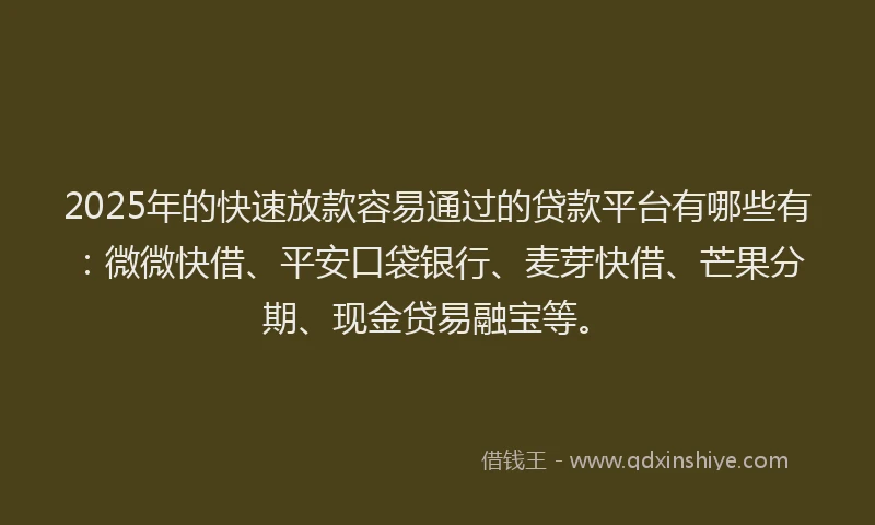 2025年的快速放款容易通过的贷款平台有哪些有：微微快借、平安口袋银行、麦芽快借、芒果分期、现金贷易融宝等。