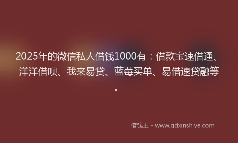 2025年的微信私人借钱1000有：借款宝速借通、洋洋借呗、我来易贷、蓝莓买单、易借速贷融等。