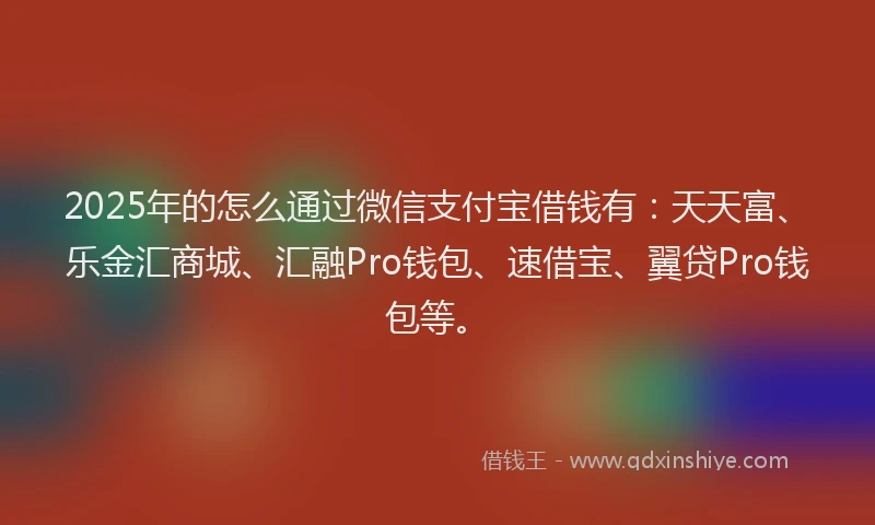 2025年的怎么通过微信支付宝借钱有：天天富、乐金汇商城、汇融Pro钱包、速借宝、翼贷Pro钱包等。