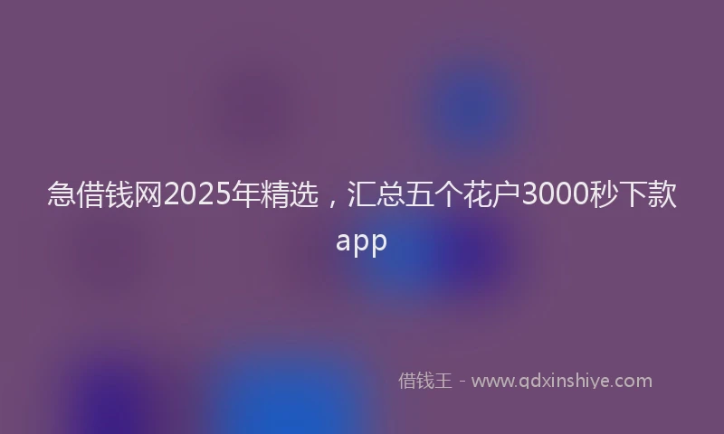 急借钱网2025年精选，汇总五个花户3000秒下款app