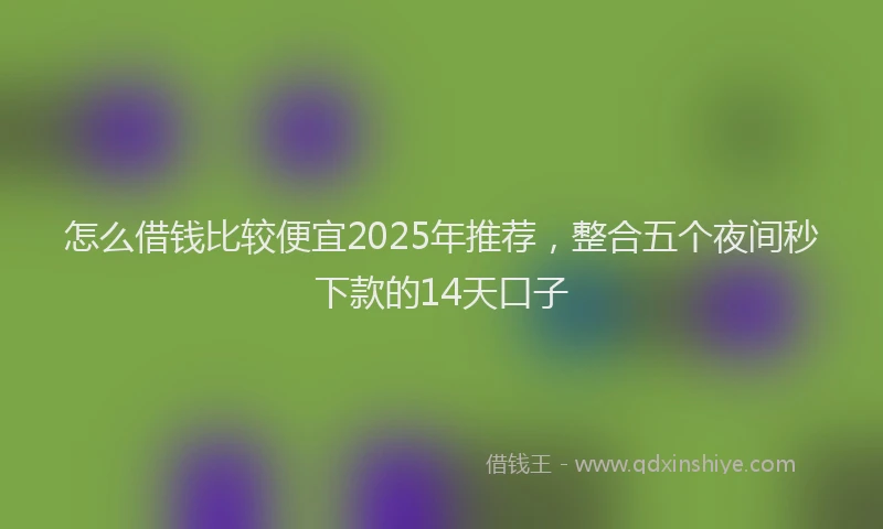 怎么借钱比较便宜2025年推荐，整合五个夜间秒下款的14天口子