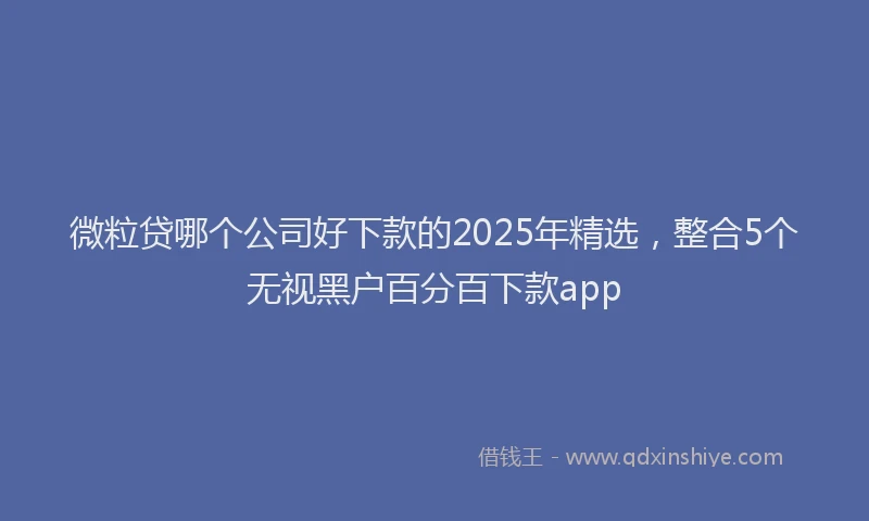 微粒贷哪个公司好下款的2025年精选，整合5个无视黑户百分百下款app