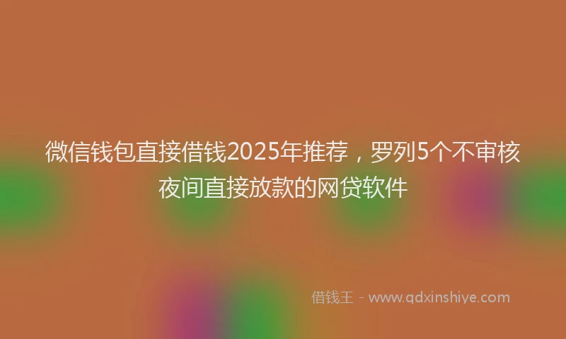 微信钱包直接借钱2025年推荐，罗列5个不审核夜间直接放款的网贷软件