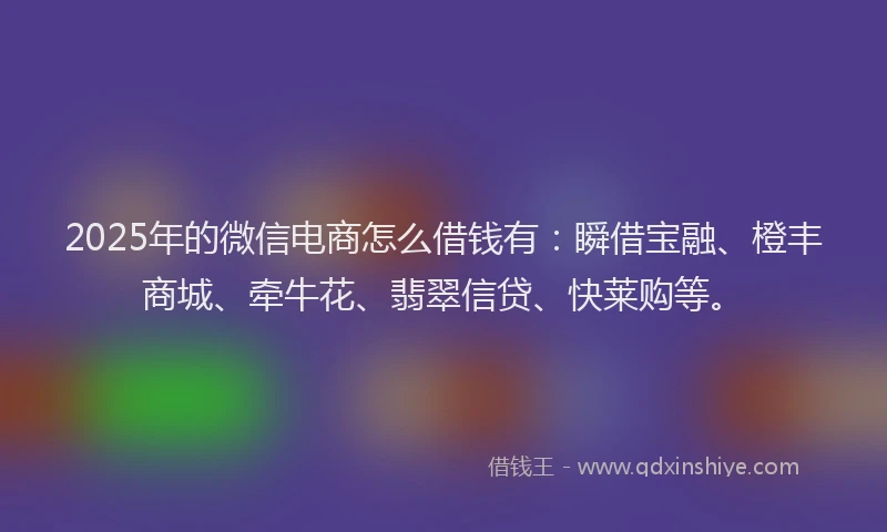 2025年的微信电商怎么借钱有：瞬借宝融、橙丰商城、牵牛花、翡翠信贷、快莱购等。