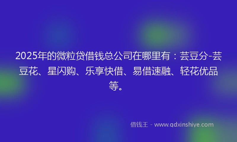 2025年的微粒贷借钱总公司在哪里有：芸豆分-芸豆花、星闪购、乐享快借、易借速融、轻花优品等。