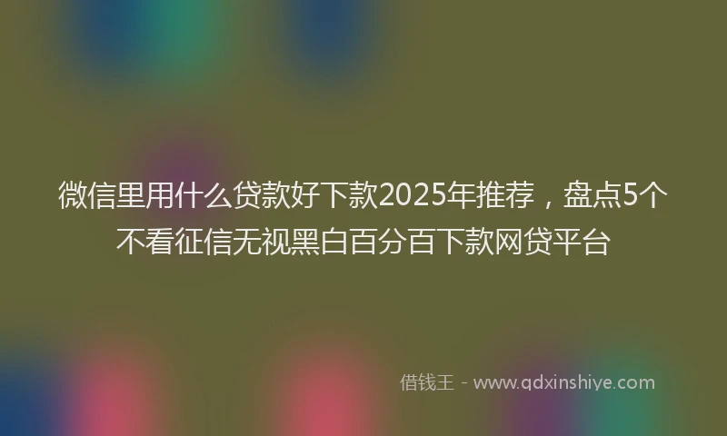 微信里用什么贷款好下款2025年推荐，盘点5个不看征信无视黑白百分百下款网贷平台