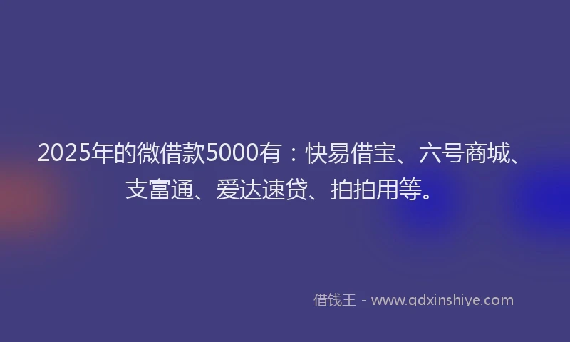 2025年的微借款5000有：快易借宝、六号商城、支富通、爱达速贷、拍拍用等。