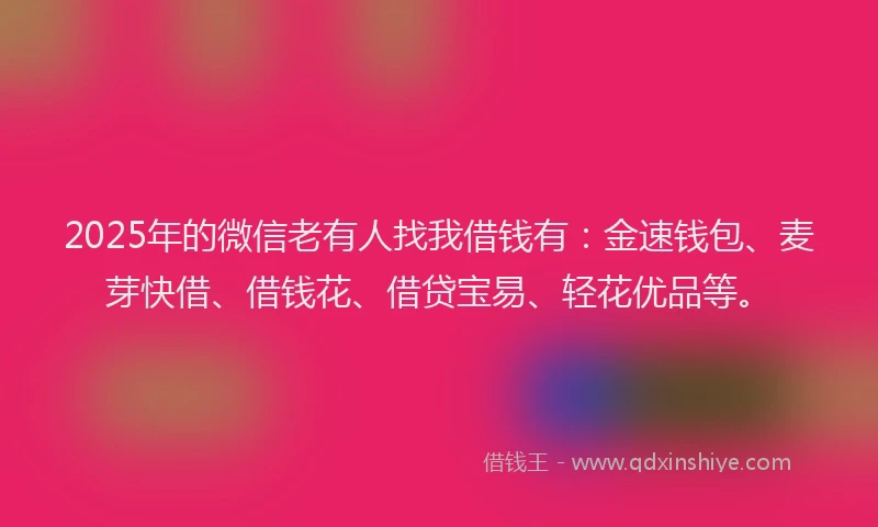 2025年的微信老有人找我借钱有：金速钱包、麦芽快借、借钱花、借贷宝易、轻花优品等。