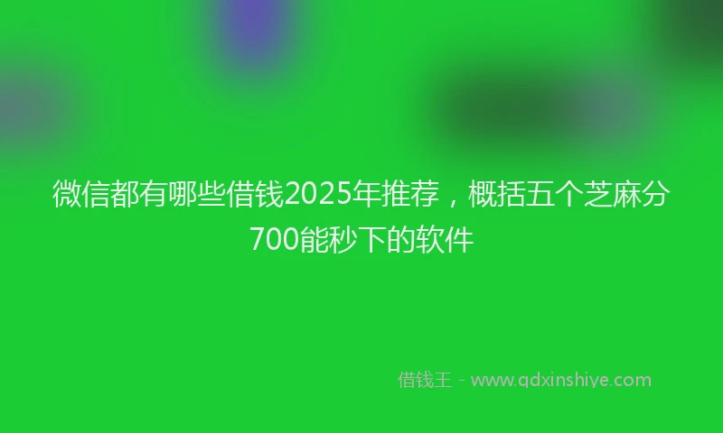 微信都有哪些借钱2025年推荐，概括五个芝麻分700能秒下的软件