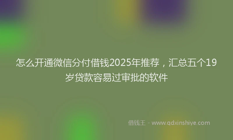 怎么开通微信分付借钱2025年推荐，汇总五个19岁贷款容易过审批的软件