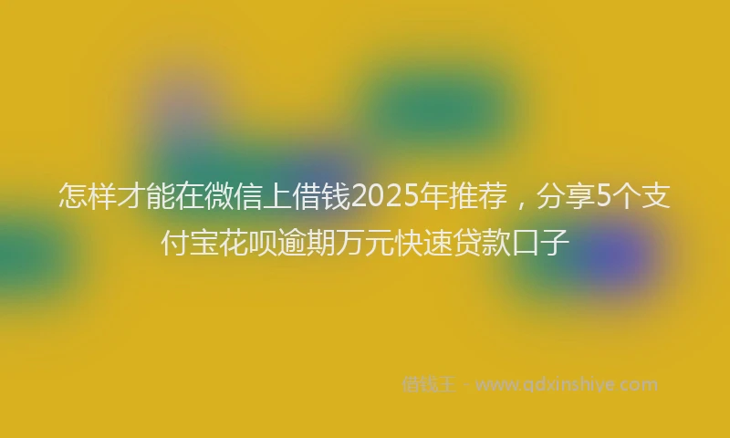 怎样才能在微信上借钱2025年推荐，分享5个支付宝花呗逾期万元快速贷款口子