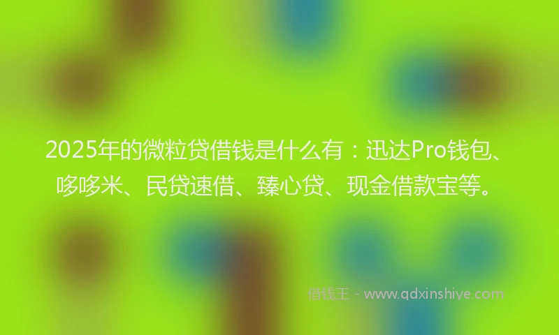 2025年的微粒贷借钱是什么有：迅达Pro钱包、哆哆米、民贷速借、臻心贷、现金借款宝等。