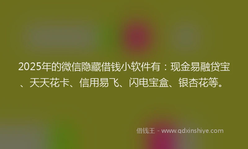 2025年的微信隐藏借钱小软件有：现金易融贷宝、天天花卡、信用易飞、闪电宝盒、银杏花等。