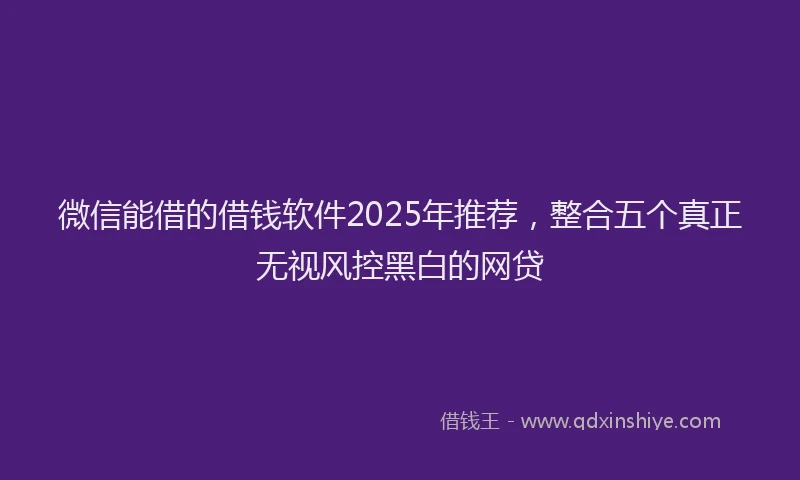微信能借的借钱软件2025年推荐，整合五个真正无视风控黑白的网贷