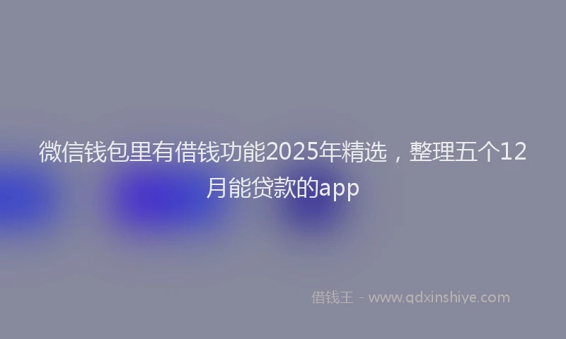 微信钱包里有借钱功能2025年精选，整理五个12月能贷款的app