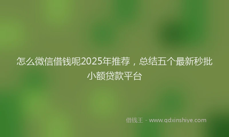 怎么微信借钱呢2025年推荐，总结五个最新秒批小额贷款平台
