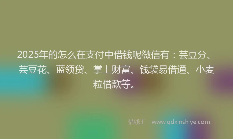 2025年的怎么在支付中借钱呢微信有：芸豆分、芸豆花、蓝领贷、掌上财富、钱袋易借通、小麦粒借款等。